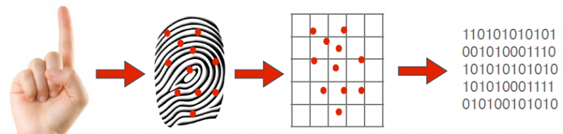 Biometrica