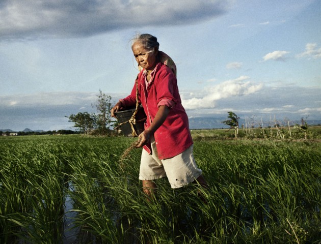E' finalmente arrivato il regolamento sul microcredito in Italia